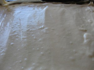 IMG_7925_resize