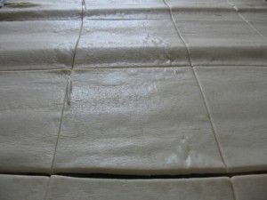 IMG_8446_resize